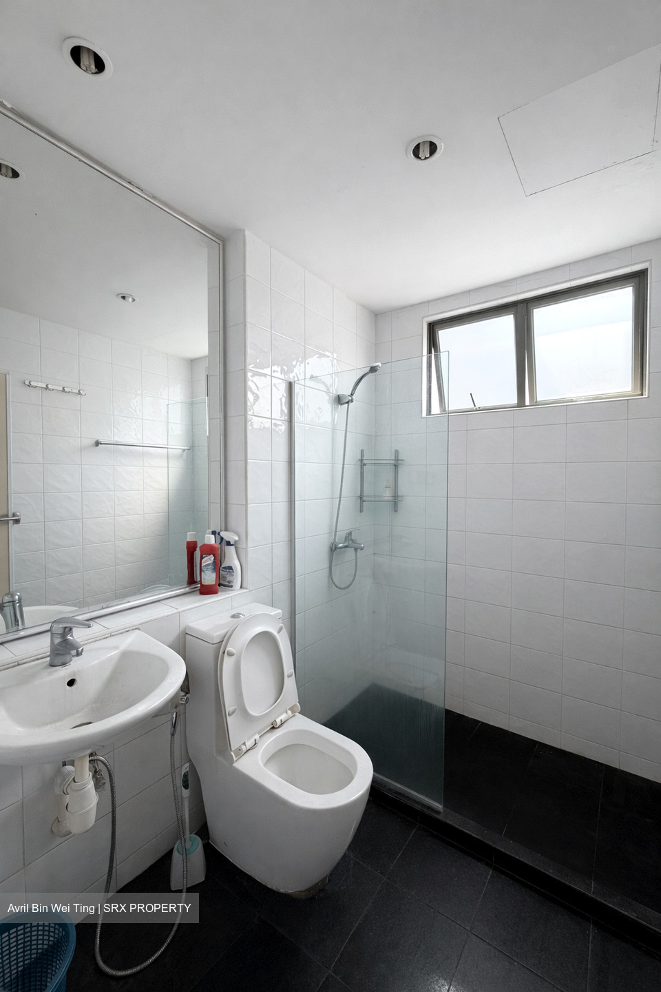 Ever Lodge (D14), Apartment #541502601